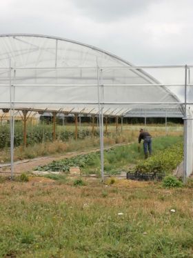 thehillac-visite 2017-06-27 (11) web